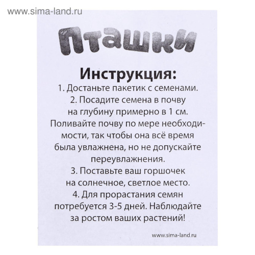 Набор для опытов «Пташки, выращиваем травку», жёлтый горшочек фото в интернет-магазине Glasker фото 3