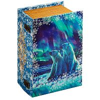 Книга Северное сияние , 1000г
